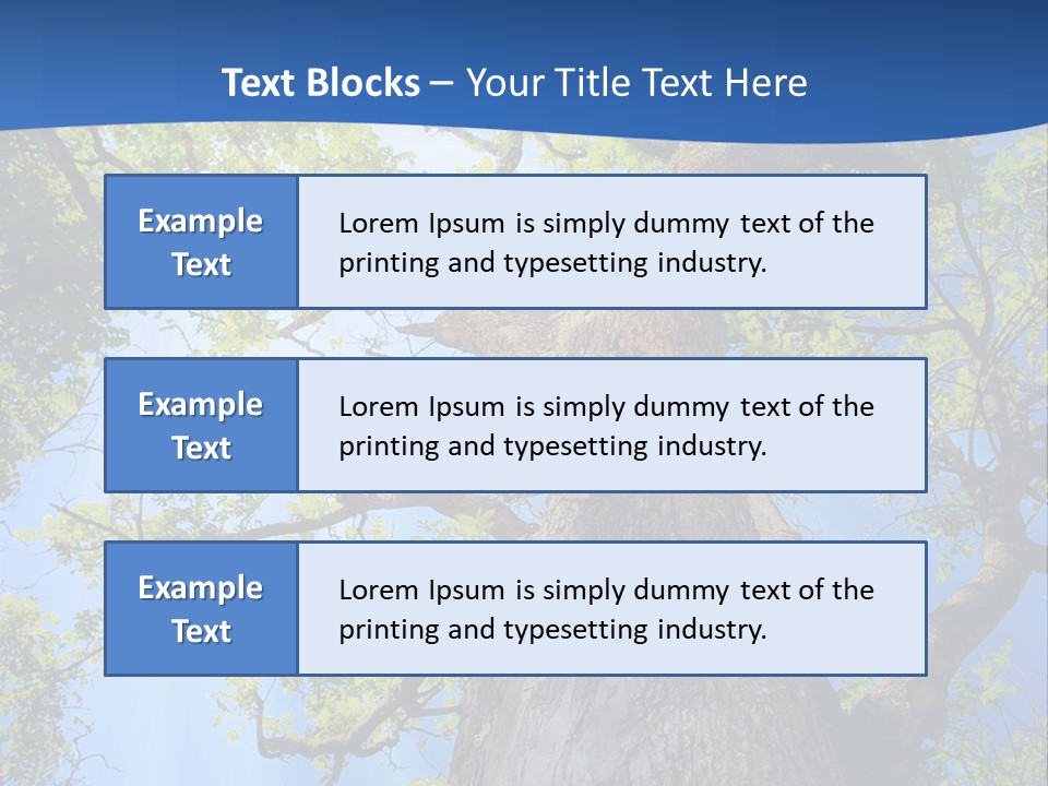 Clear Sunlight Forest PowerPoint Template