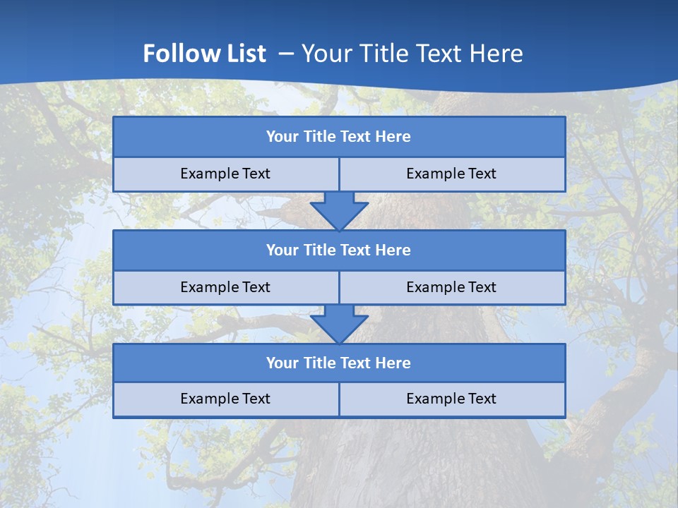 Clear Sunlight Forest PowerPoint Template