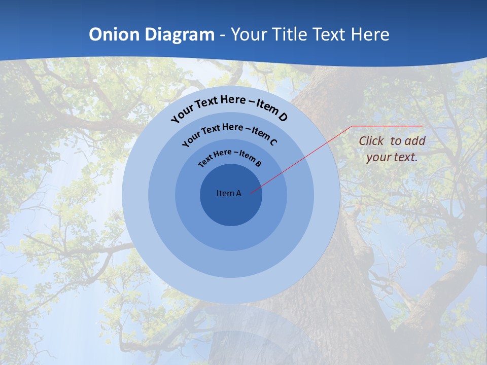 Clear Sunlight Forest PowerPoint Template