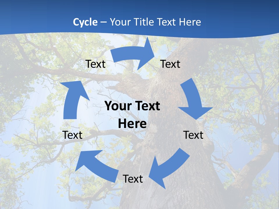 Clear Sunlight Forest PowerPoint Template
