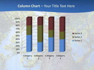 Clear Sunlight Forest PowerPoint Template