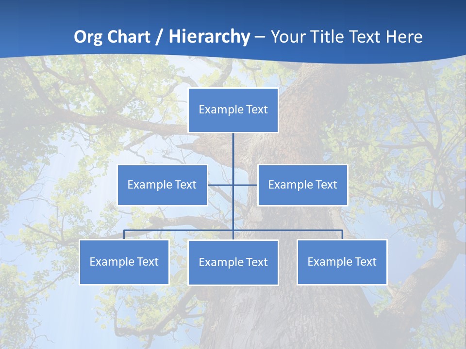Clear Sunlight Forest PowerPoint Template