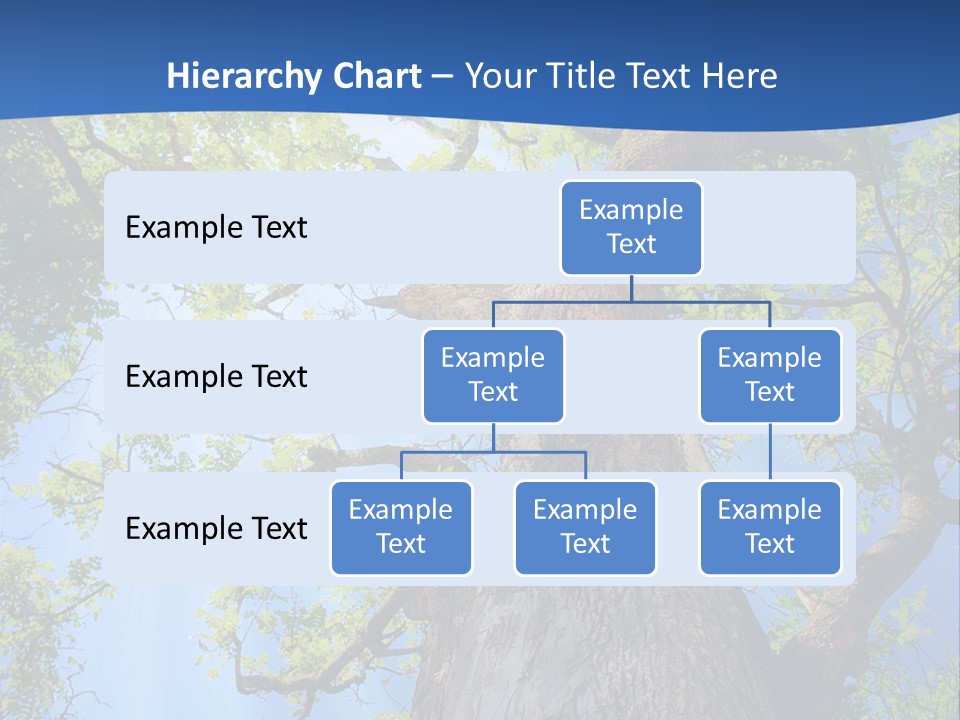 Clear Sunlight Forest PowerPoint Template