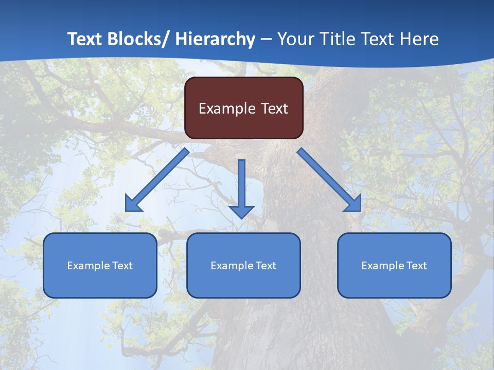 Clear Sunlight Forest PowerPoint Template