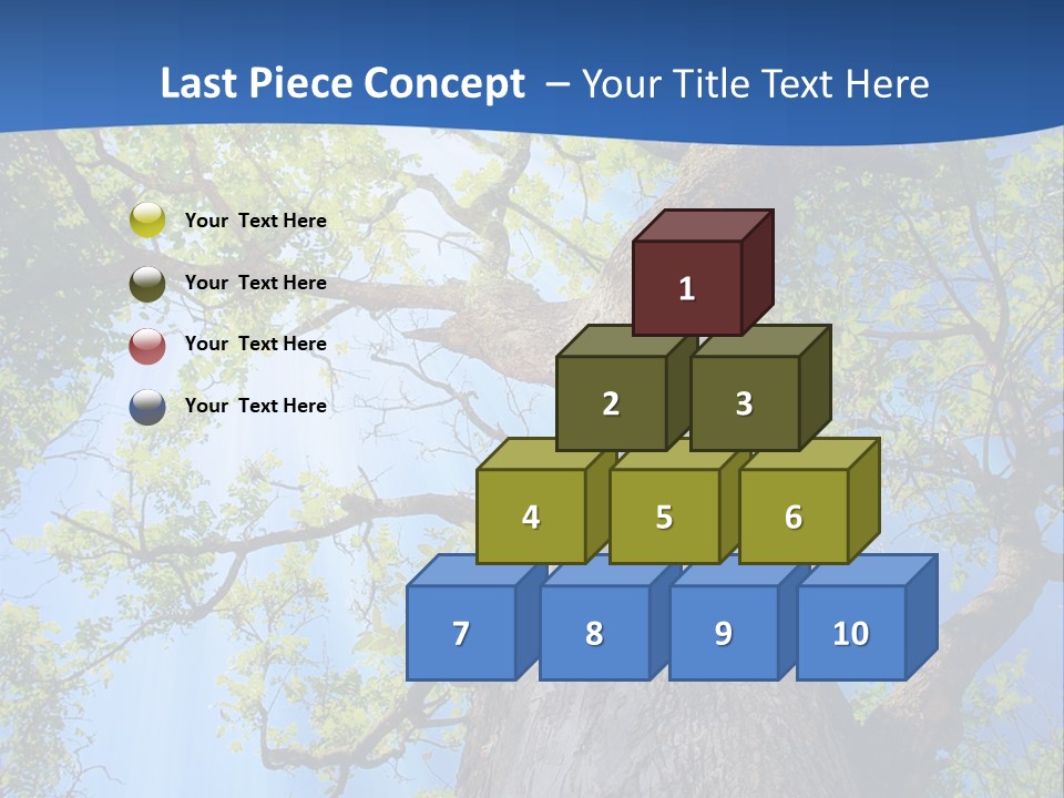 Clear Sunlight Forest PowerPoint Template