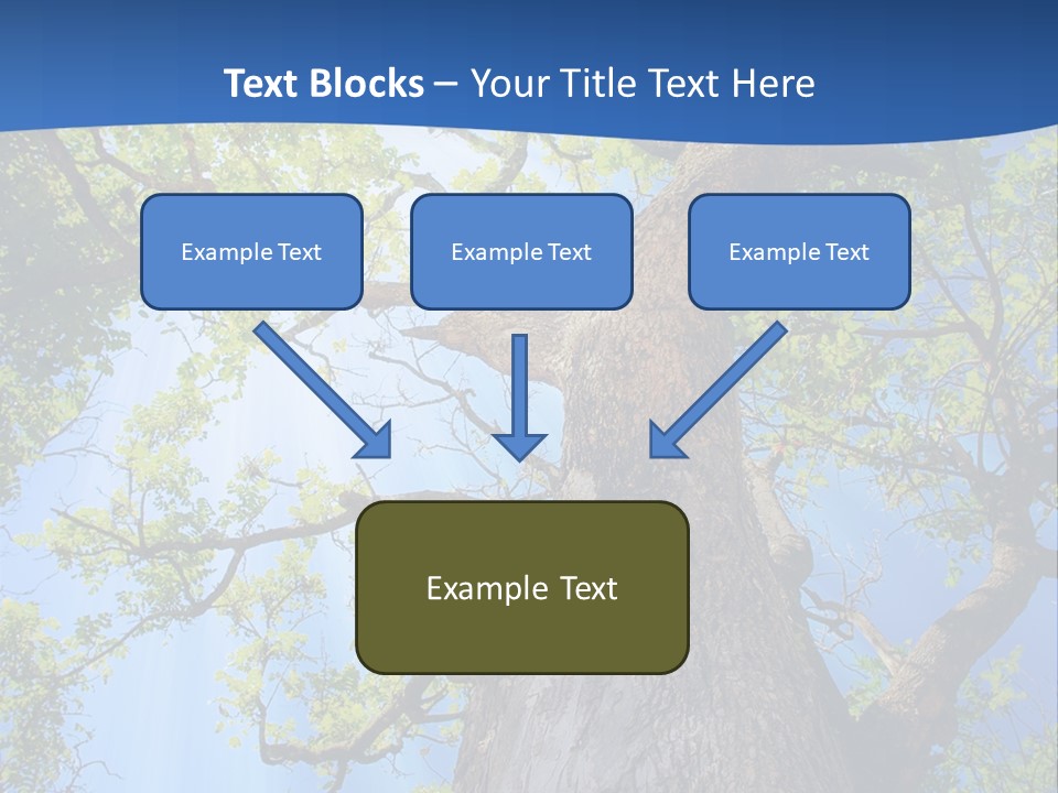 Clear Sunlight Forest PowerPoint Template