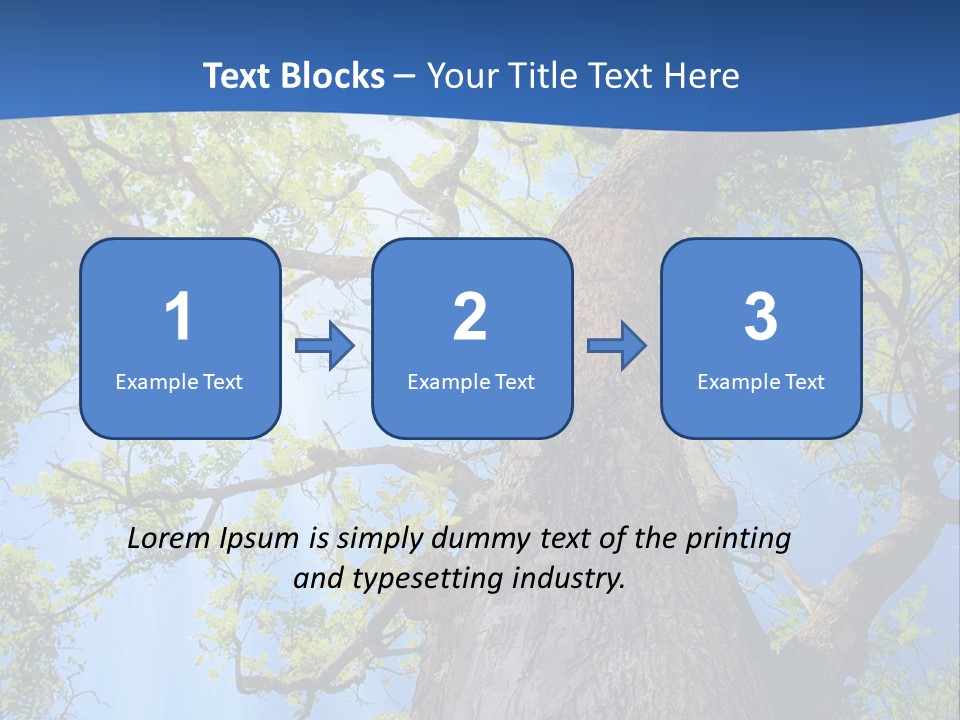 Clear Sunlight Forest PowerPoint Template