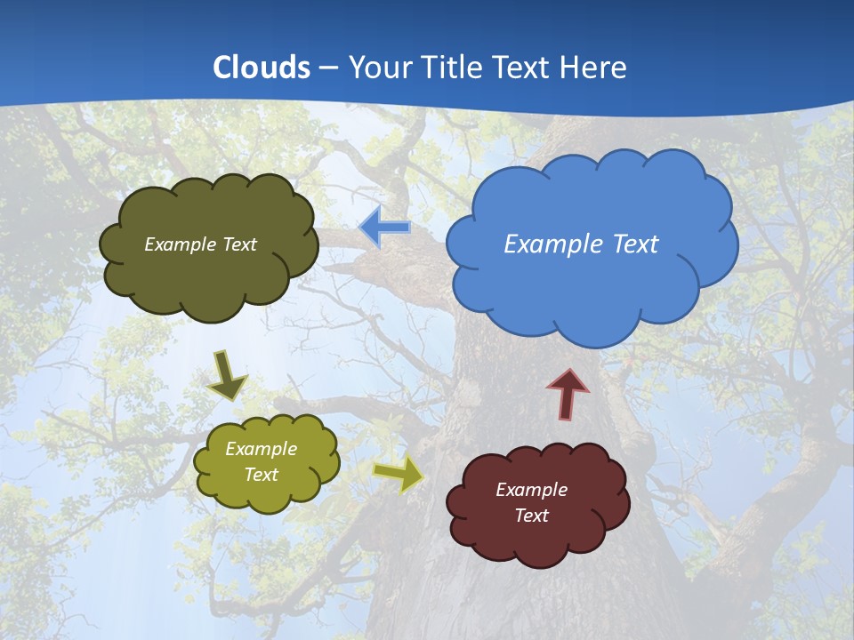 Clear Sunlight Forest PowerPoint Template