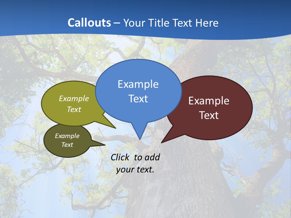 Clear Sunlight Forest PowerPoint Template