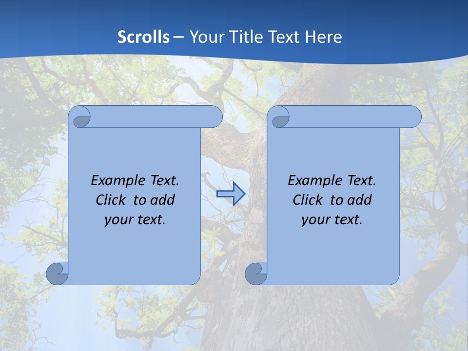 Clear Sunlight Forest PowerPoint Template