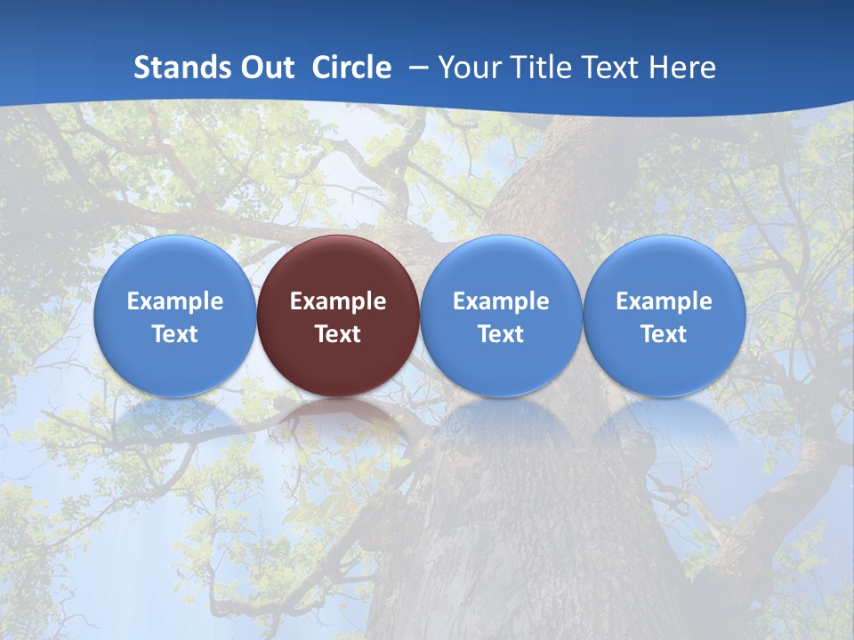 Clear Sunlight Forest PowerPoint Template