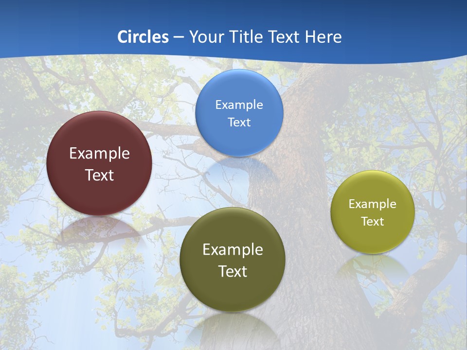 Clear Sunlight Forest PowerPoint Template