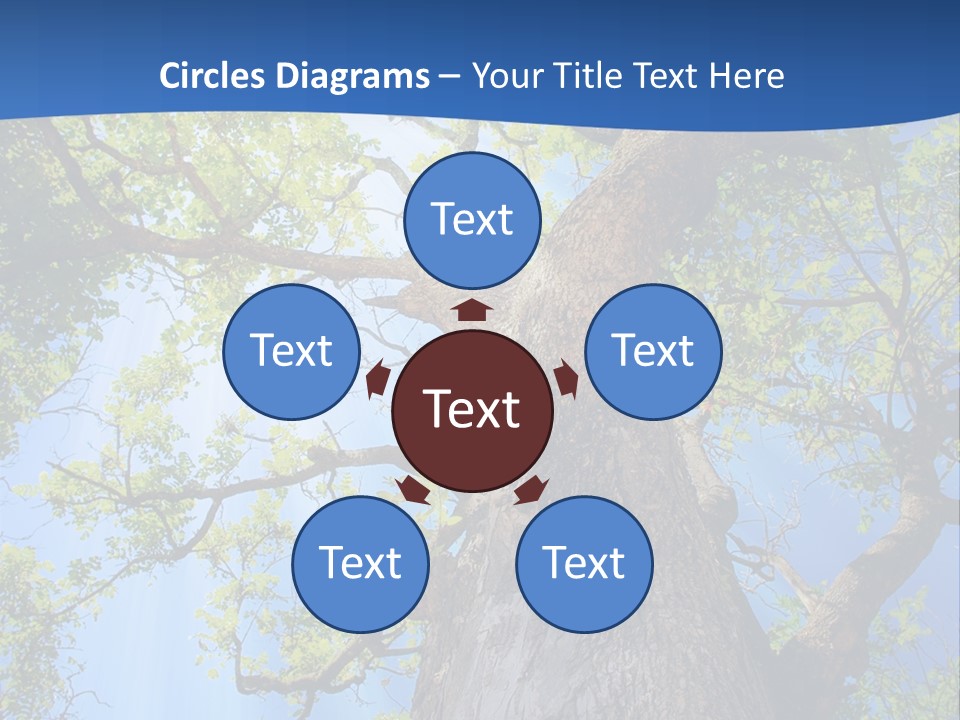 Clear Sunlight Forest PowerPoint Template