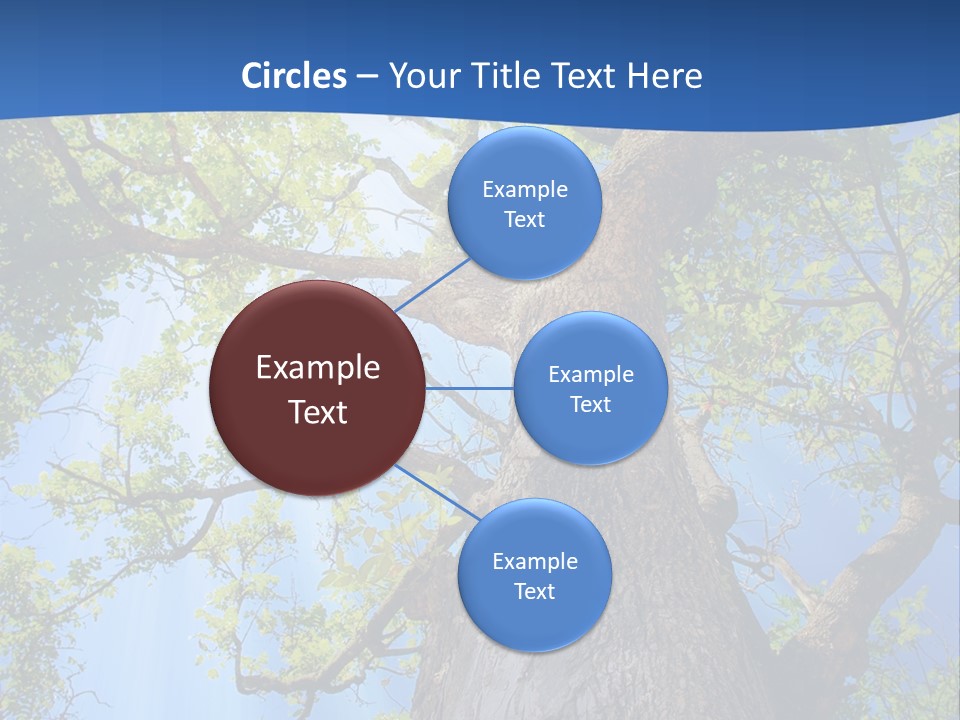 Clear Sunlight Forest PowerPoint Template