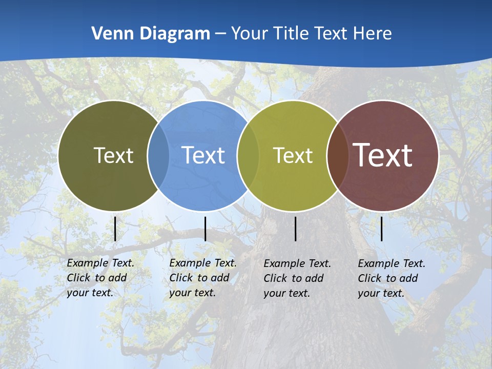 Clear Sunlight Forest PowerPoint Template