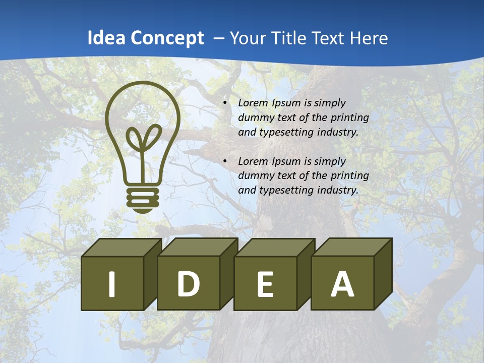 Clear Sunlight Forest PowerPoint Template
