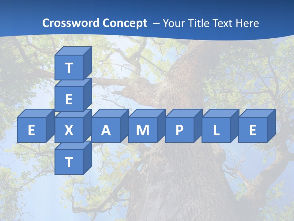 Clear Sunlight Forest PowerPoint Template