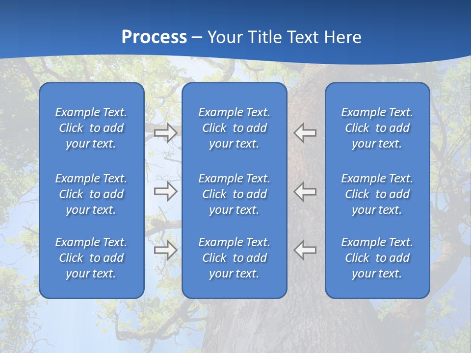 Clear Sunlight Forest PowerPoint Template
