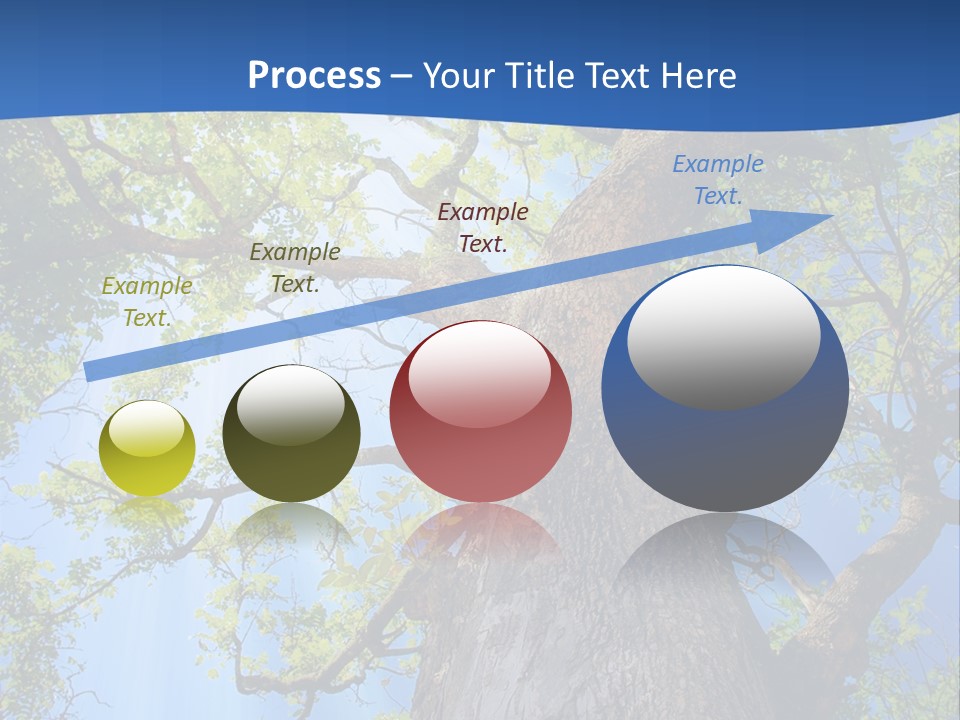 Clear Sunlight Forest PowerPoint Template