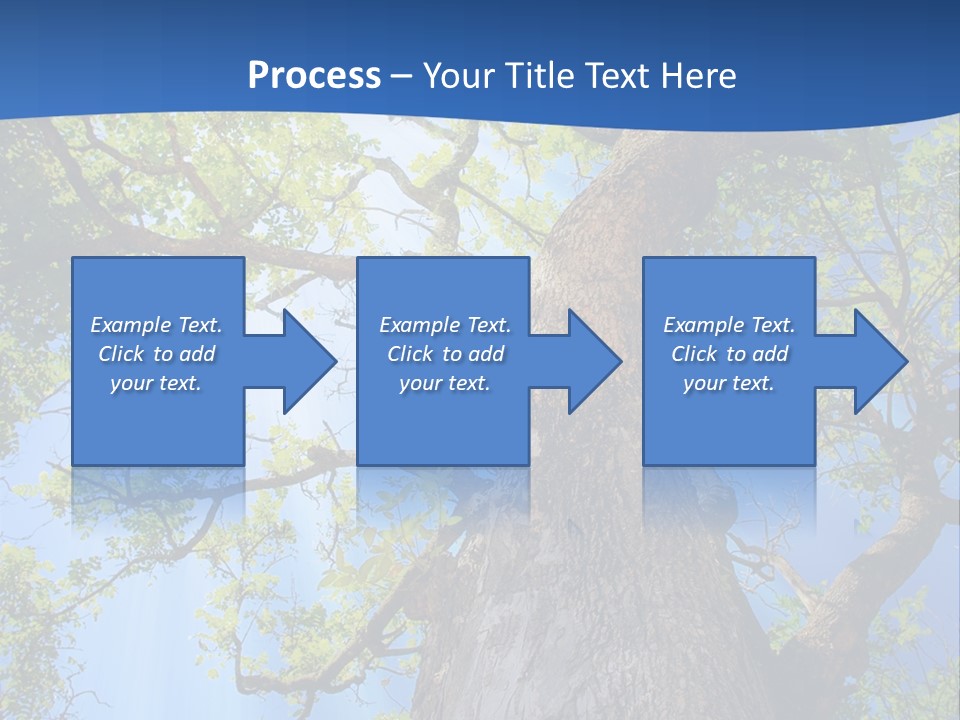 Clear Sunlight Forest PowerPoint Template