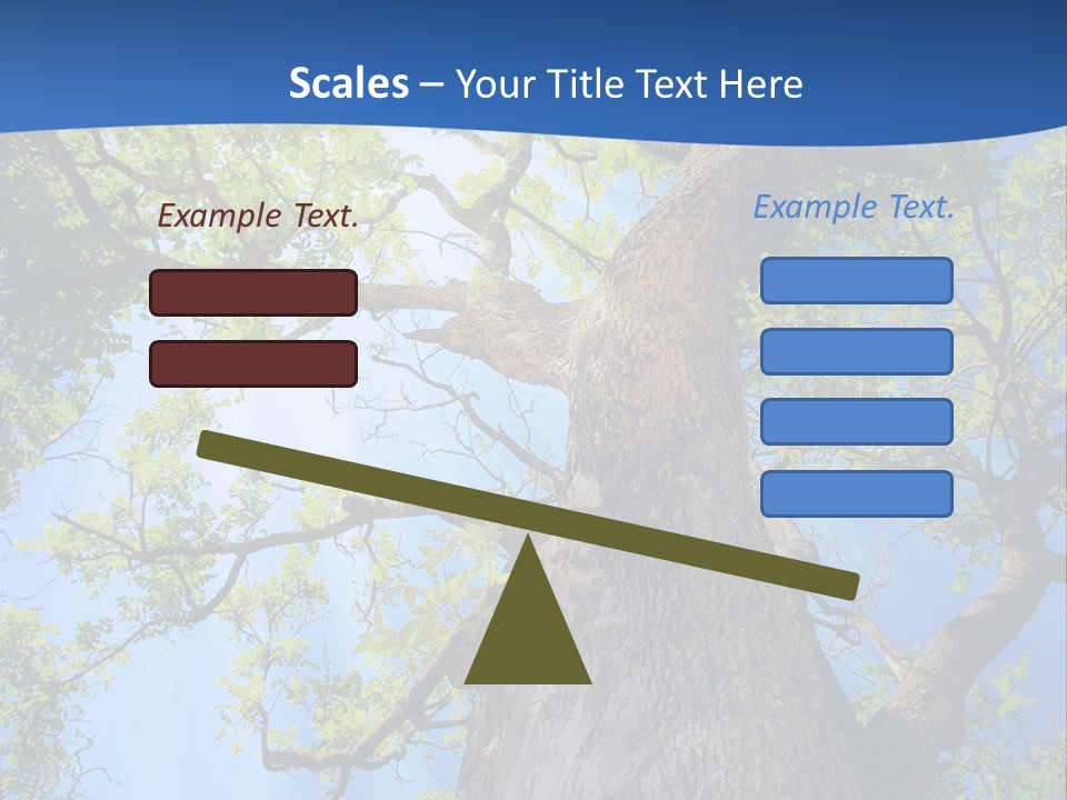 Clear Sunlight Forest PowerPoint Template