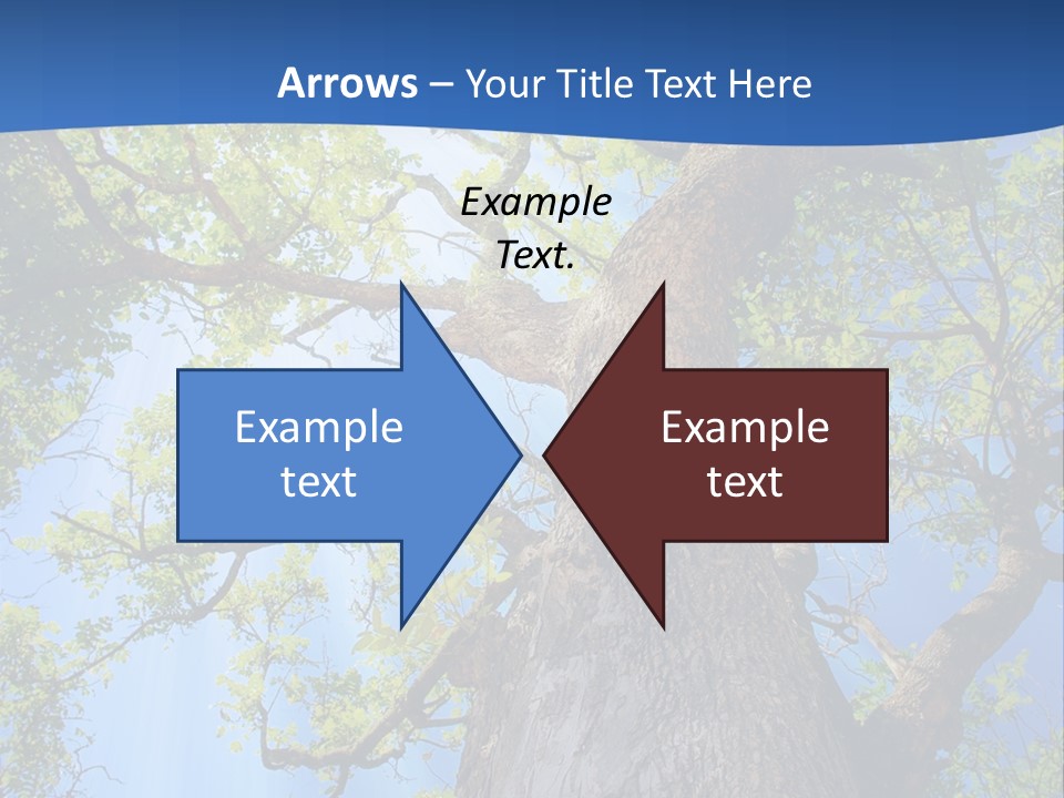Clear Sunlight Forest PowerPoint Template