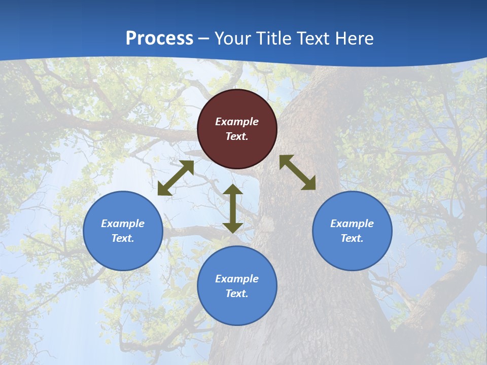 Clear Sunlight Forest PowerPoint Template