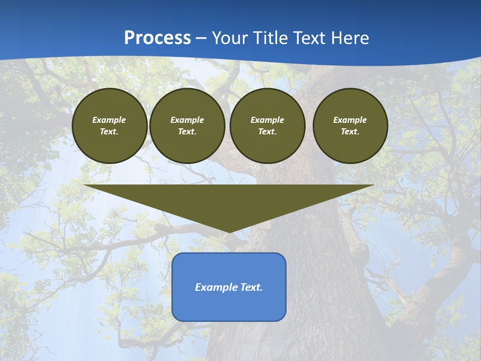 Clear Sunlight Forest PowerPoint Template