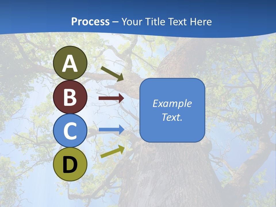 Clear Sunlight Forest PowerPoint Template