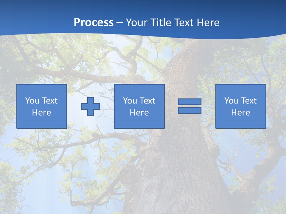 Clear Sunlight Forest PowerPoint Template