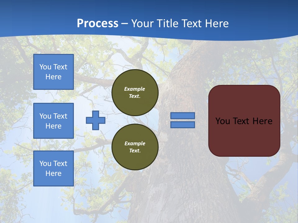 Clear Sunlight Forest PowerPoint Template