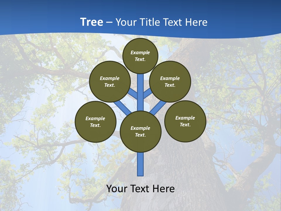 Clear Sunlight Forest PowerPoint Template