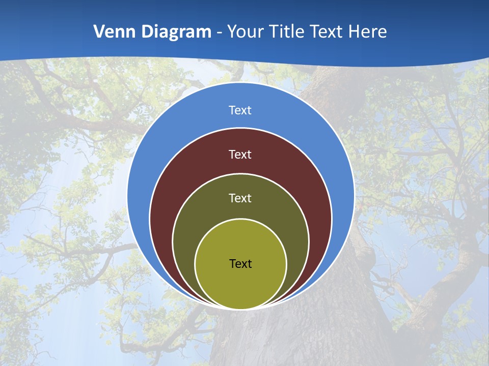 Clear Sunlight Forest PowerPoint Template