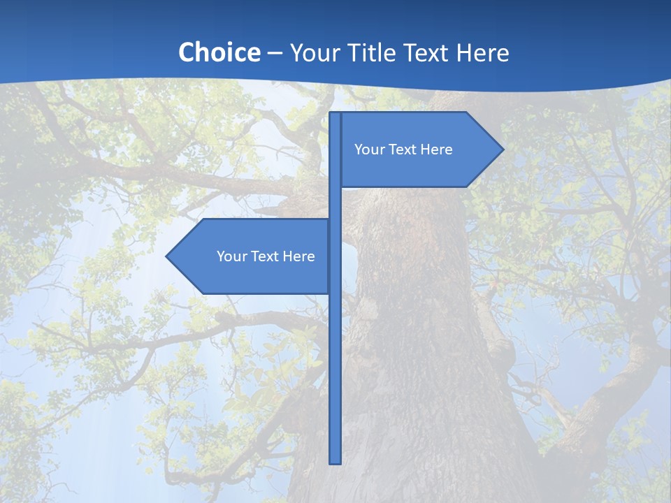 Clear Sunlight Forest PowerPoint Template