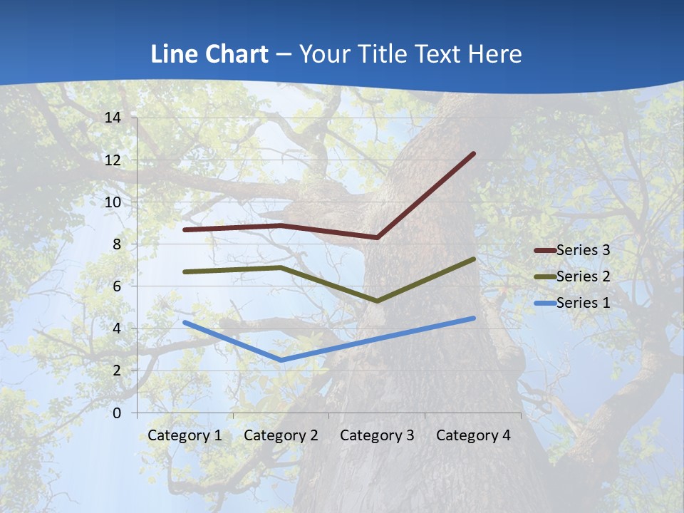 Clear Sunlight Forest PowerPoint Template