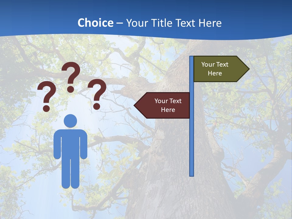 Clear Sunlight Forest PowerPoint Template