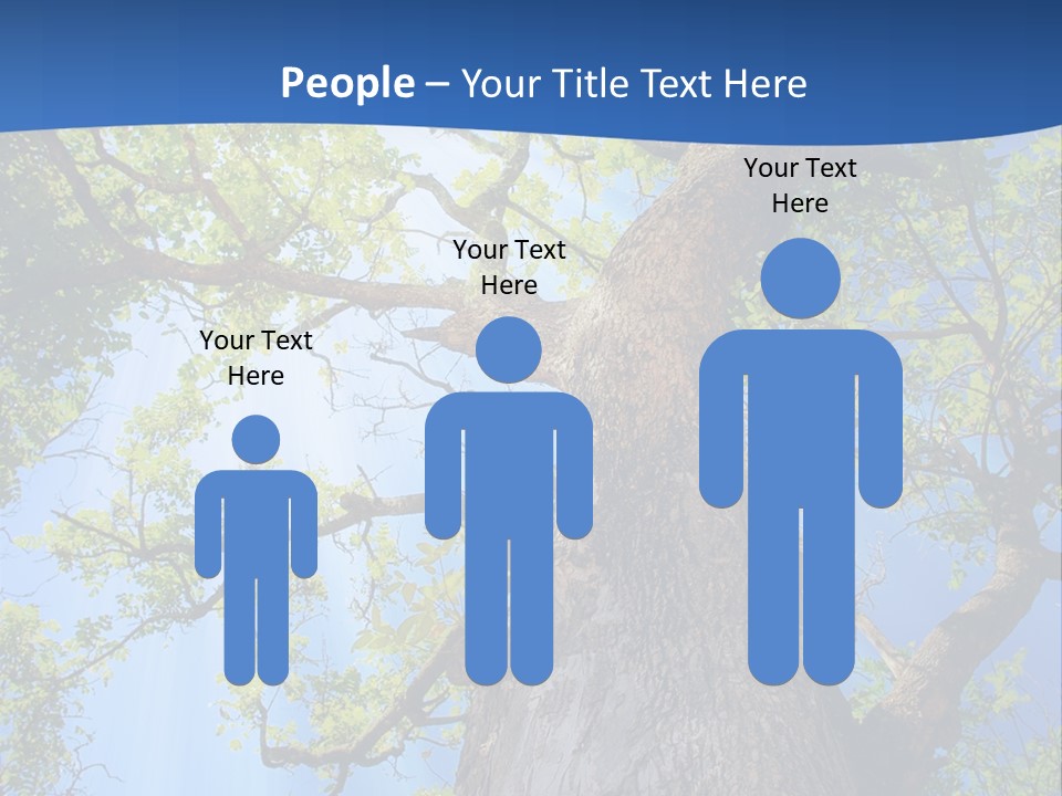 Clear Sunlight Forest PowerPoint Template