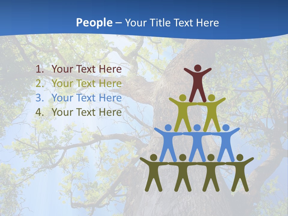 Clear Sunlight Forest PowerPoint Template