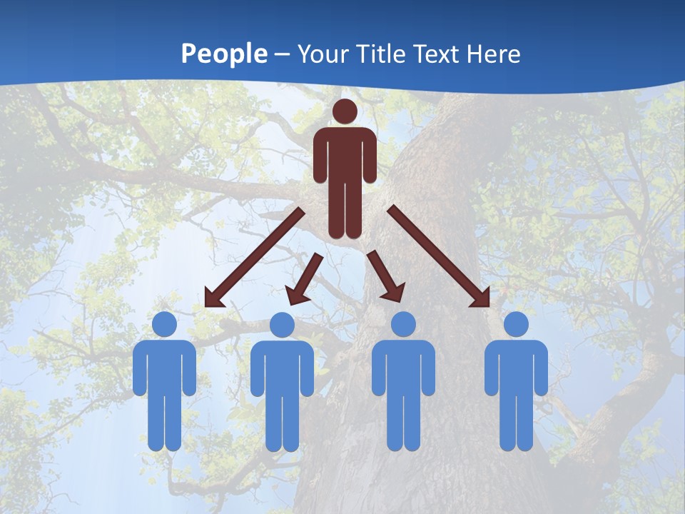 Clear Sunlight Forest PowerPoint Template