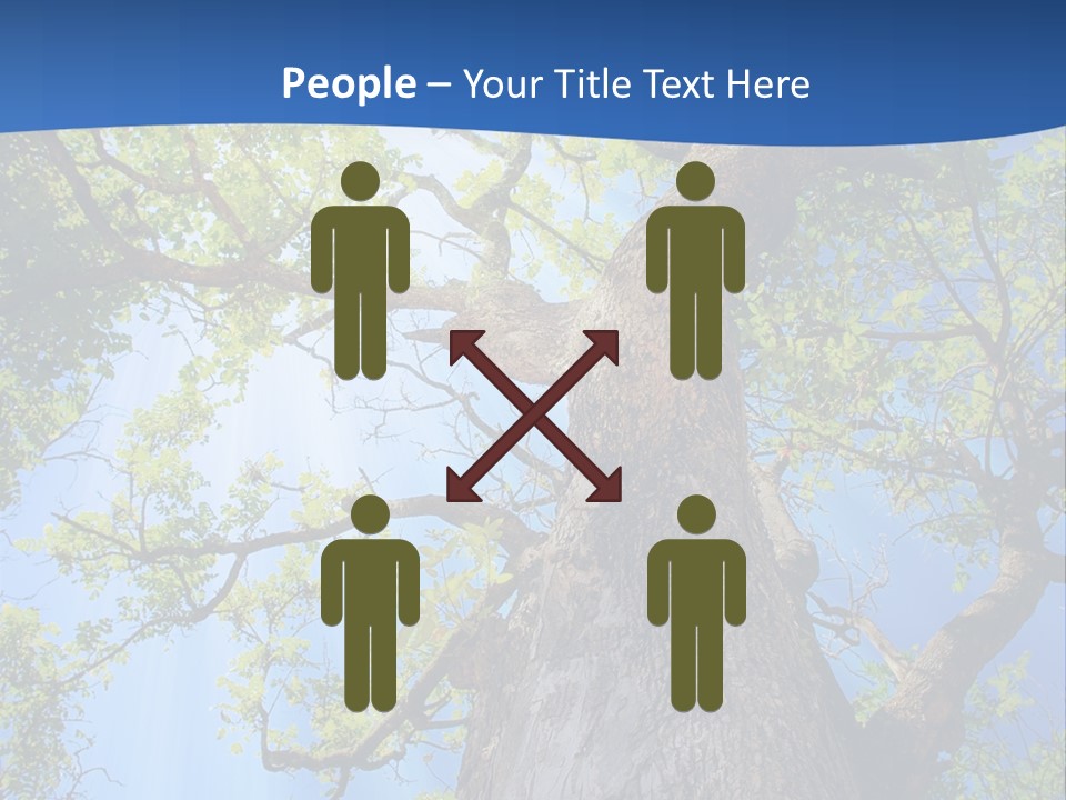 Clear Sunlight Forest PowerPoint Template