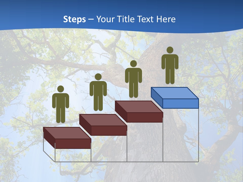 Clear Sunlight Forest PowerPoint Template
