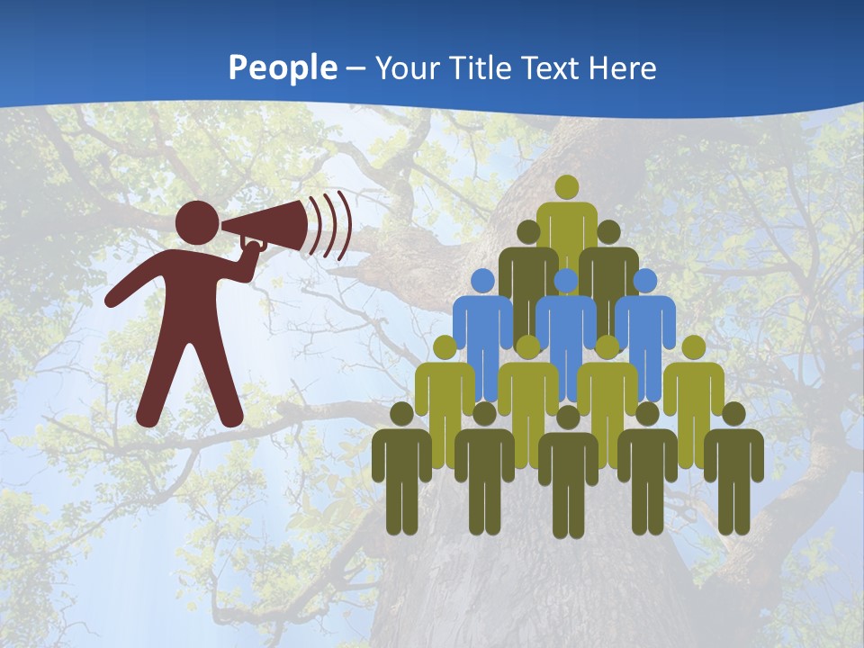 Clear Sunlight Forest PowerPoint Template