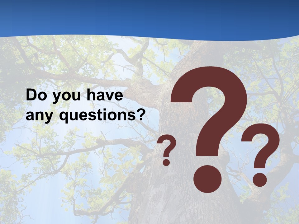 Clear Sunlight Forest PowerPoint Template