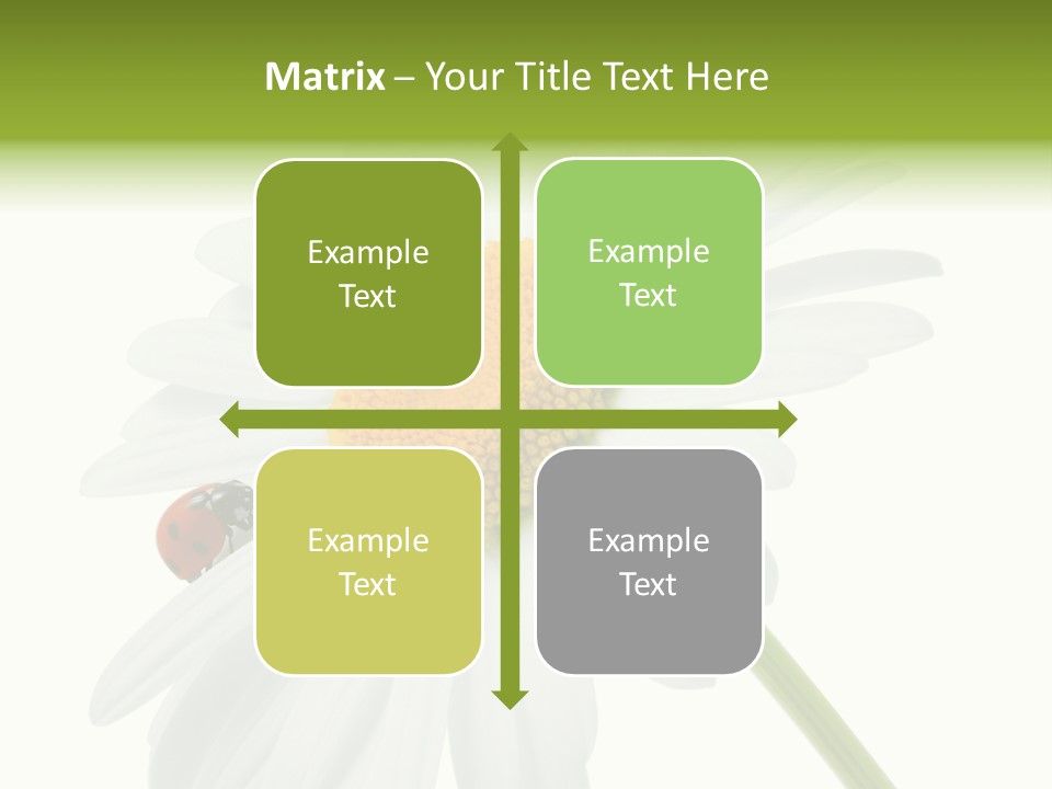 Plant Yellow Black PowerPoint Template