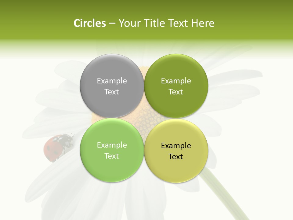 Plant Yellow Black PowerPoint Template