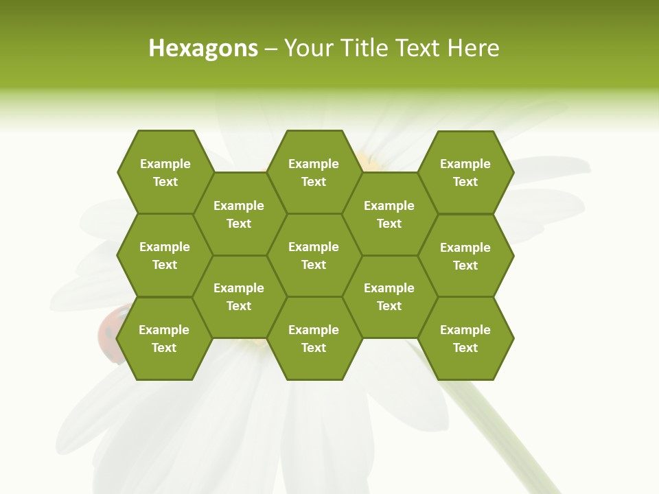 Plant Yellow Black PowerPoint Template