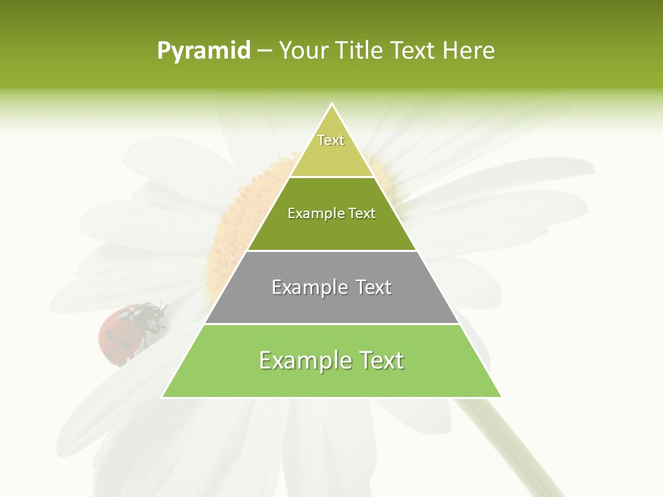 Plant Yellow Black PowerPoint Template