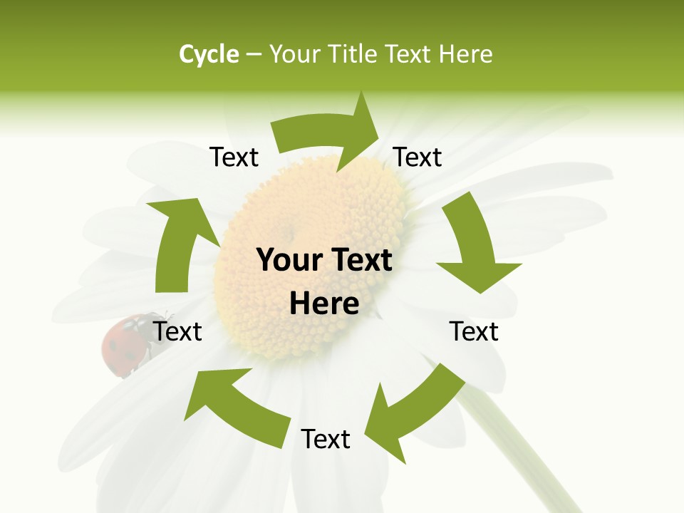 Plant Yellow Black PowerPoint Template