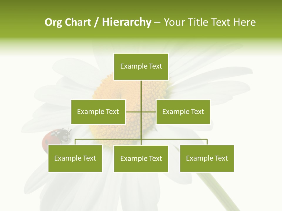 Plant Yellow Black PowerPoint Template