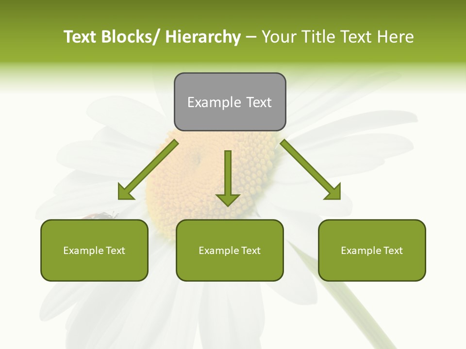 Plant Yellow Black PowerPoint Template